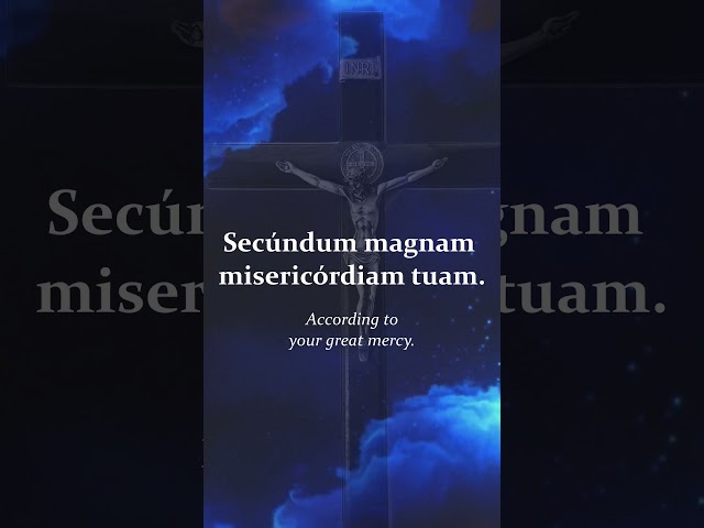 Miserere Mei, Deus (Have Mercy on Me, O God) | Allegri #shorts #christianmusic #chant #catholic