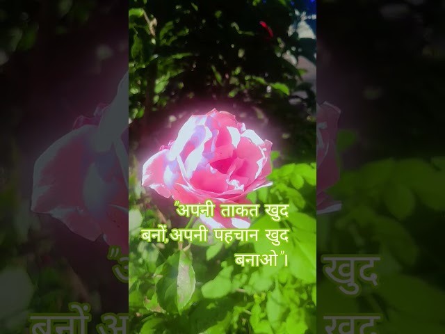 #कभी सोचा हैं लड़कियां पैसा क्यों कमाना चाहती हैं। #like #subscribe