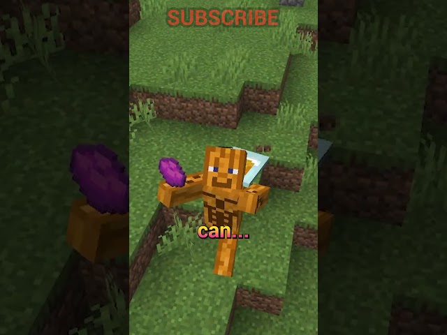 THE CHAIR UPDATE IS A BUILDERS DREAM