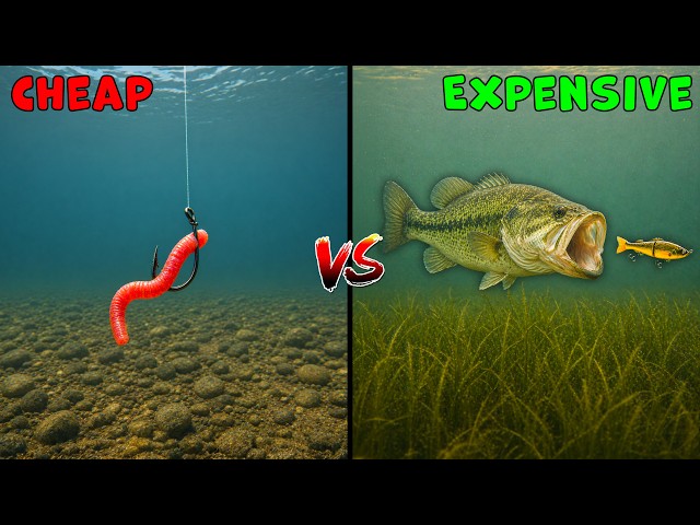 Cheap vs Expensive Fishing Challenge