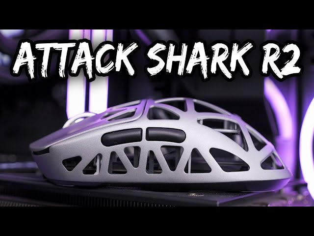Attack Shark R2 30 Day Review - Half Priced Perfection?