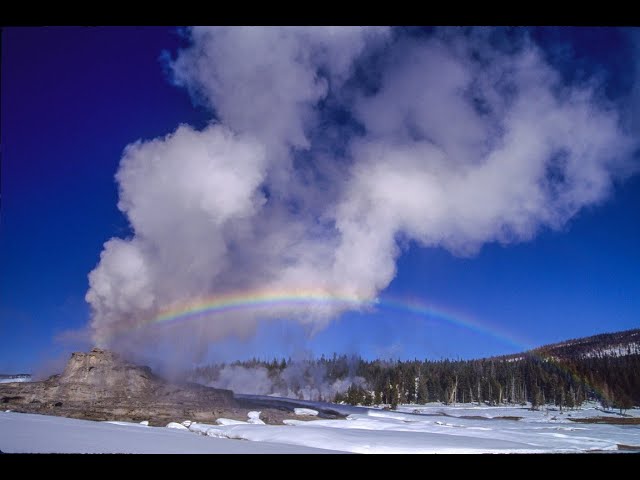 LIVE: Christmas in Yellowstone Q&A with PBS Nature