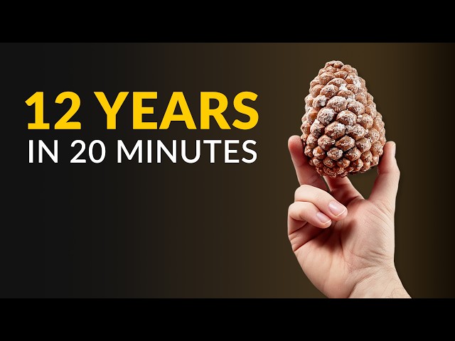 I Filmed Plants For 12 Years