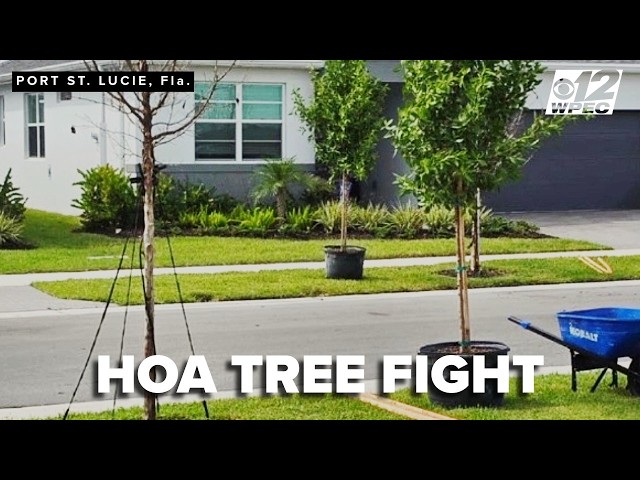 Port St. Lucie homeowners push back after HOA orders dead trees replaced