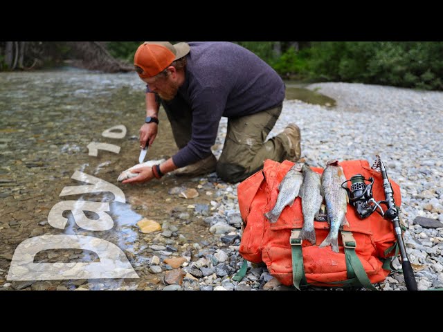 Catch And Cook Cutthroat Trout Day 10 of 30 Day Survival Challenge Canadian Rockies