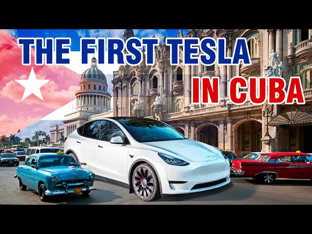 Find Out How It Got There! | In Depth