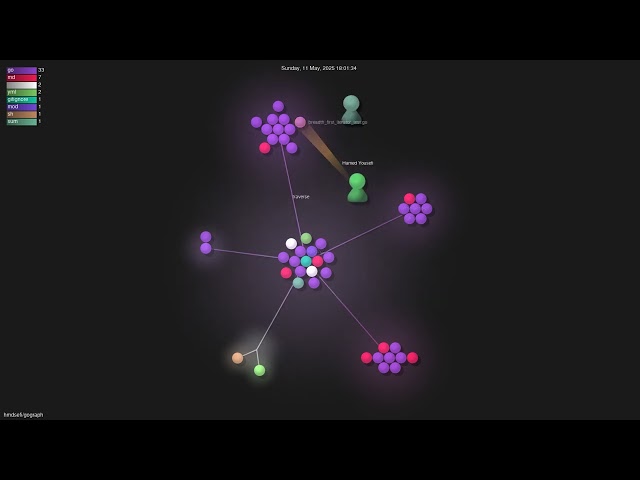 hmdsefi/gograph - Gource visualisation