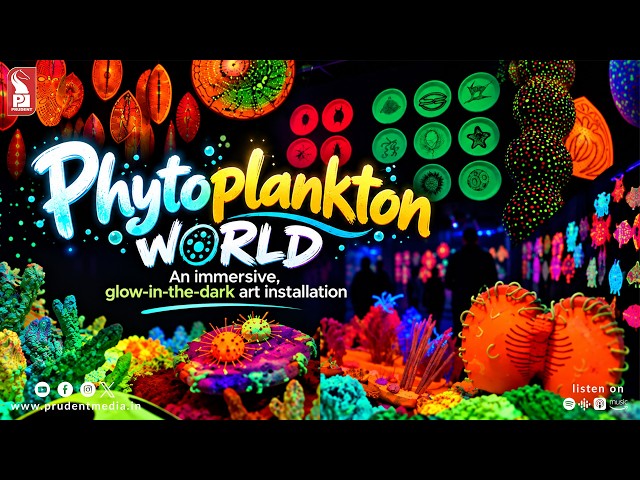 Phytoplankton World: An immersive, glow-in-the-dark art installation | Prudent | 300926