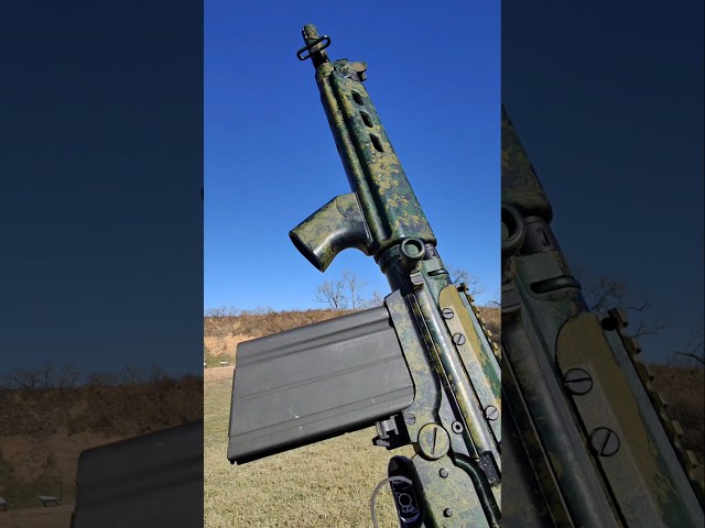 The FAL: Rhodesian baby poop para