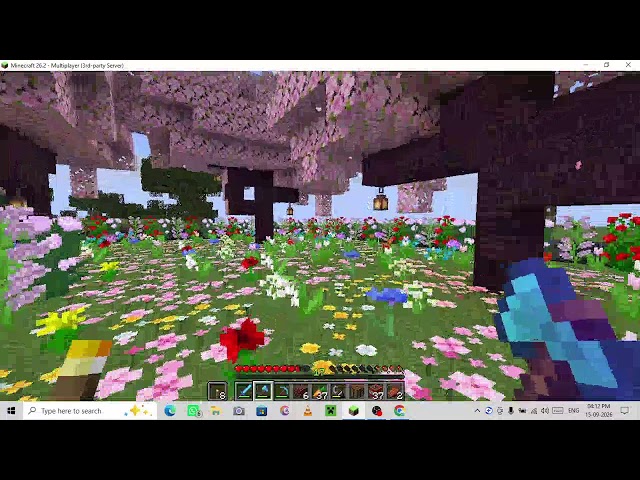 MINECRAFT LIVE