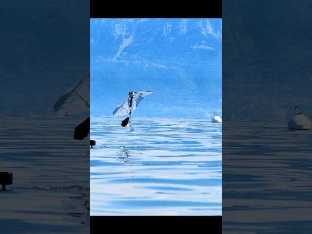 Leaping out of the water: Aerial-aquatic locomotion with flapping wings