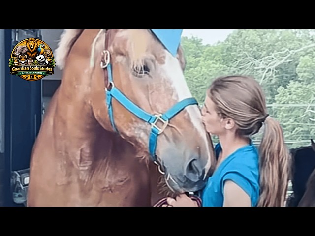 This Horse Could Barely Walk — Then He Took Off