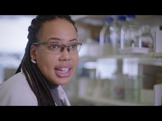 Brian Cox Short Films – Chromatography