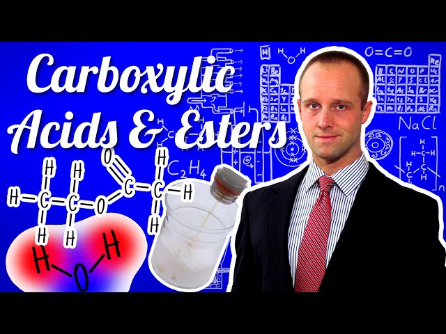 Carboxylic Acids 2: Reactions & Esters - GCSE IGCSE 9-1 Chemistry - Sci - Succeed In Your GCSE IGCSE