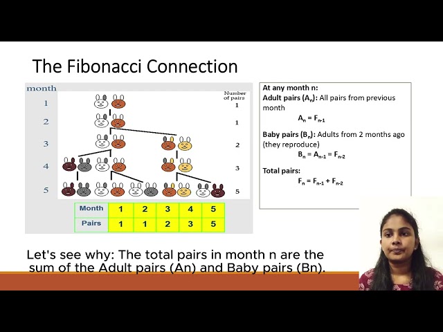 Data Structures and Algorithms - Rabbit Problem