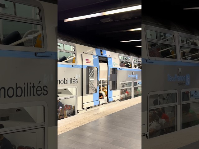 La fermeture des portes du MI2N comme vous l’aimez ! #shorts #train #mi2n #railway #rera #idfm
