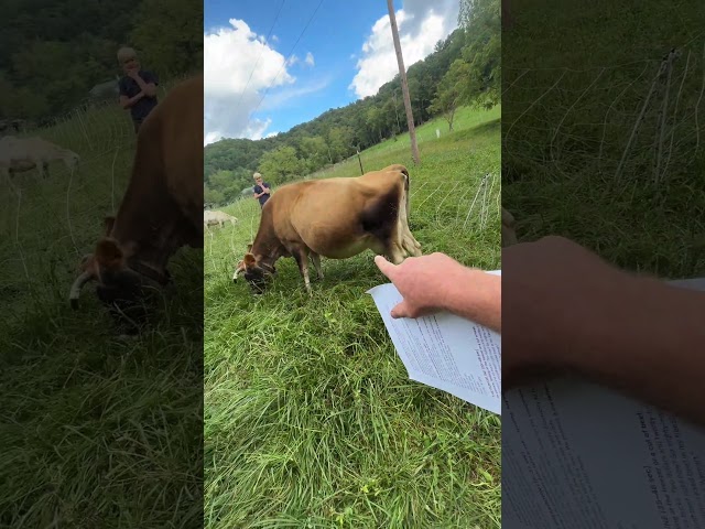 How I buy grass-fed beef for $2.50