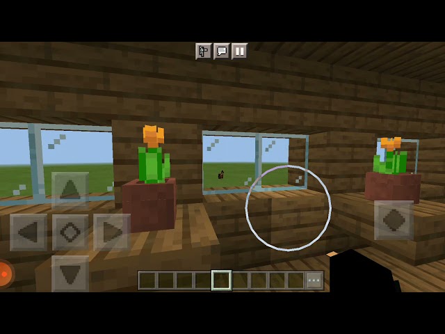 First video