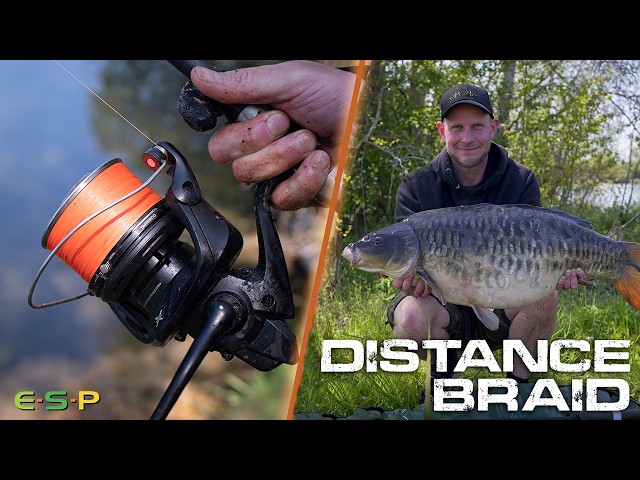 Distance Spod Braid