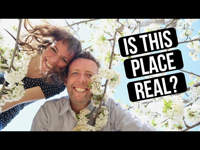 Discovering Jerte Valley, Extremadura and its Cherry Blossoms