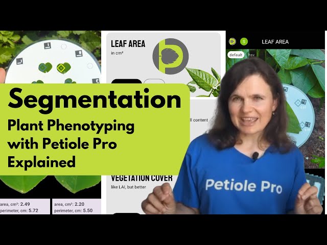 Understanding Segmentation: Plant Phenotyping with Mobile App Petiole Pro Explained