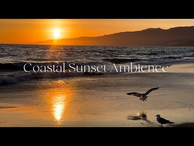 4K Coastal Sunset Ambience, Healing Ocean Wave Sounds for Relaxation, Meditation, Deep Sleeping ASMR