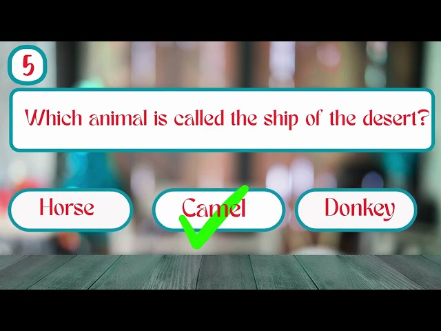 Animal Quiz Challenge | How Many Can You Get Right?