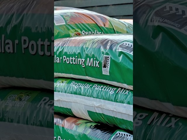 What do those ticks on potting mix bags mean? | Gardening Australia