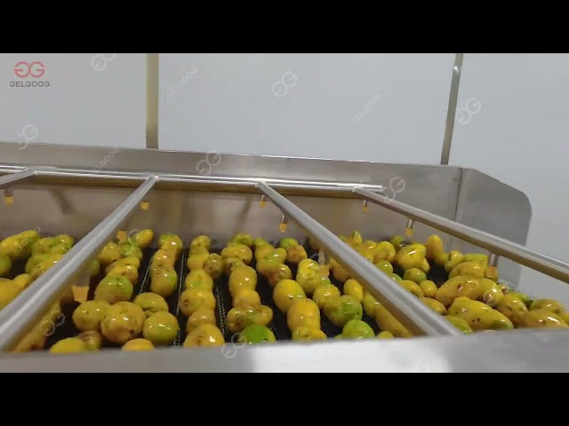 Mango Puree Processing Line