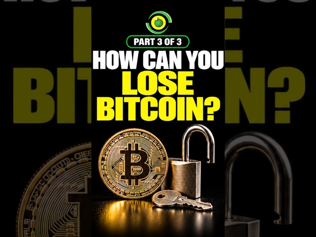 What Are the Risks of Bitcoin? | Part 3 of 3