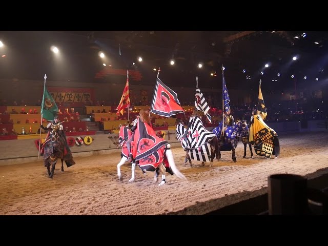 Twisted Vlog - Medieval Times Experience + In-N-Out SUCKS!