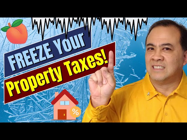 How to FREEZE your Property taxes!  2024 GA Tax Appeals EXPLAINED! @Tax Freeze Command