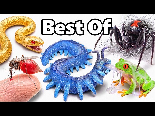 My Best Pets of 2026 (so far)
