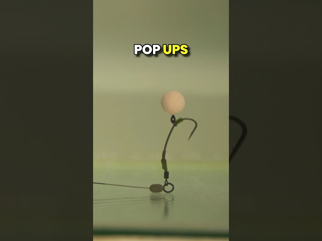 Balance Beads are a convenient and easy to use alternative to putty. #carpfishing