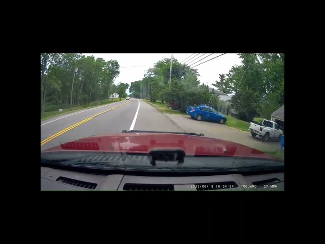 bad drivers and peacock