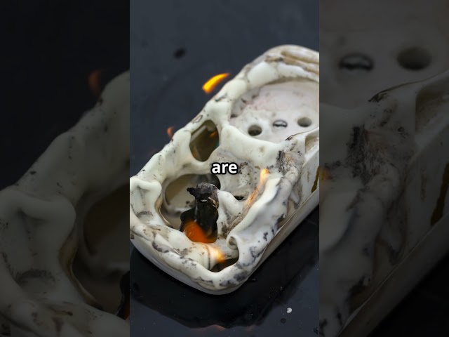 Why Does My Dryer Smell Burnt? Danger or Simple Fix?  #homerepair #zapfixers #appliancerepair
