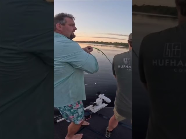 HUGE ALLIGATOR CAPTURED! 5/20 #viral #short #youtubeshorts #shorts #viralvideo #youtube #shortvideo