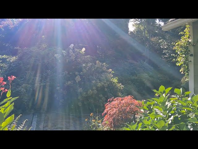 The Astrology of September 18, 2026: Consequences...