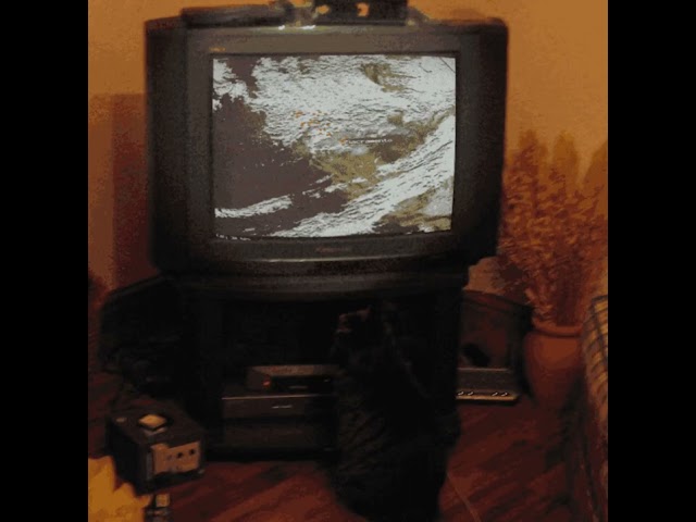 1996 CBS Special Bulletin with Dan Rather | Cataclysm in the West Coast - IaK ORIGINAL