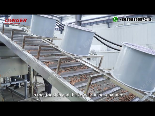 Cocoa Powder Processing Machine - Cocoa Processing Factory