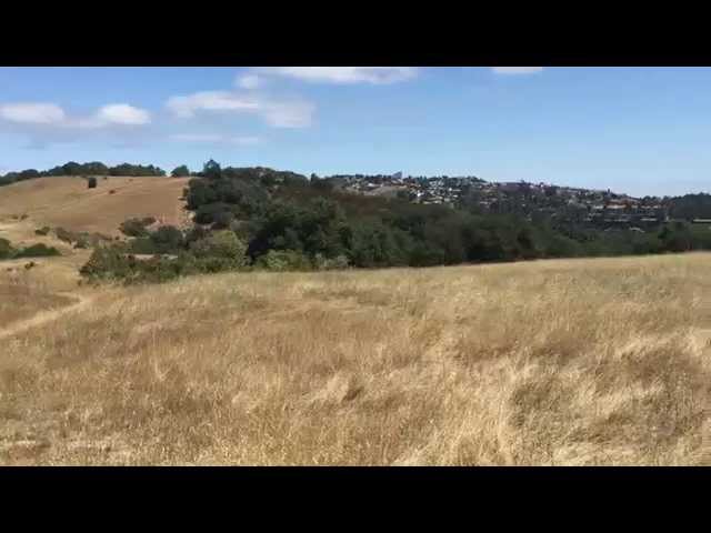 Saturday Hike in Redwood City, CA