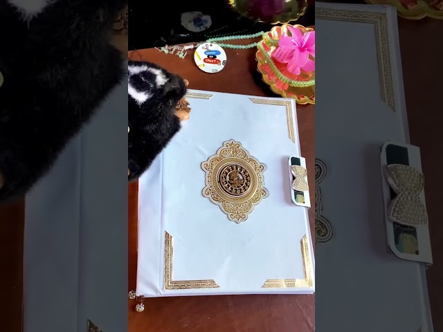 Part-2 DIY Aesthetic sketchbook 📒💫 #shortsfeed #fypシ゚viral #diycrafts #artscraft #oceanofcraft