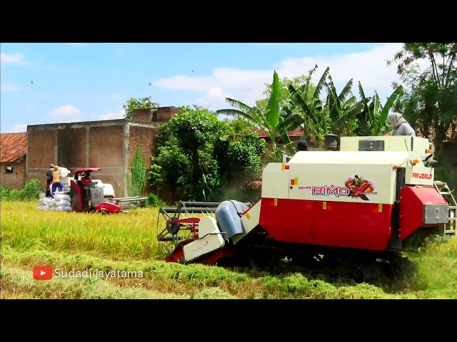 KOMBI SAWAH MAXXI BIMO EVO DAN YANMAR YH 850 DI JAPAN BABADAN PONOROGO