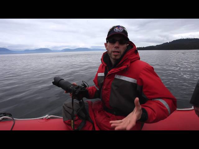 Humpback Whales Film "Behind the Scenes" Alaska