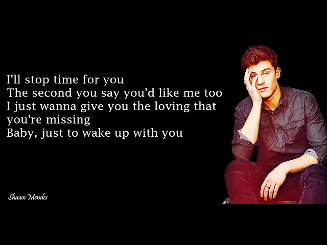 Shawn Mendes - Treat You Better (Lyrics)