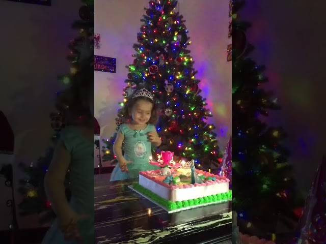 Elizabeth's 2 Years Birthday Celebration