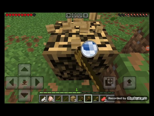 MINECRAFT zorlu mode