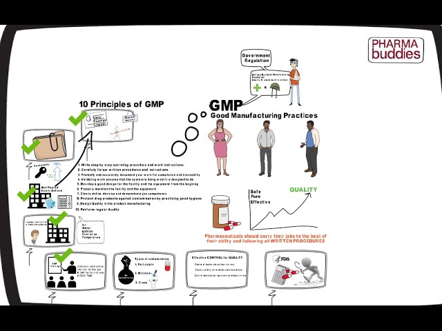 Best video on 10 Principles of GMP | Good Manufacturing Practices