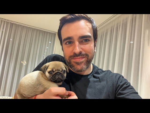 The Internet Was Very Mad I Got A Pug...