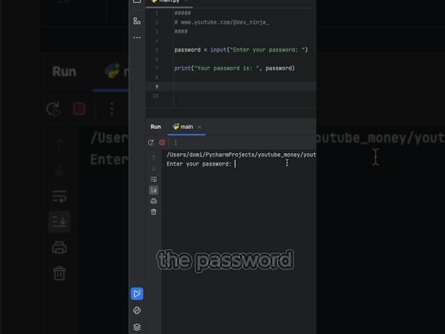 NEVER Handle Passwords Like THIS In Python... #Code